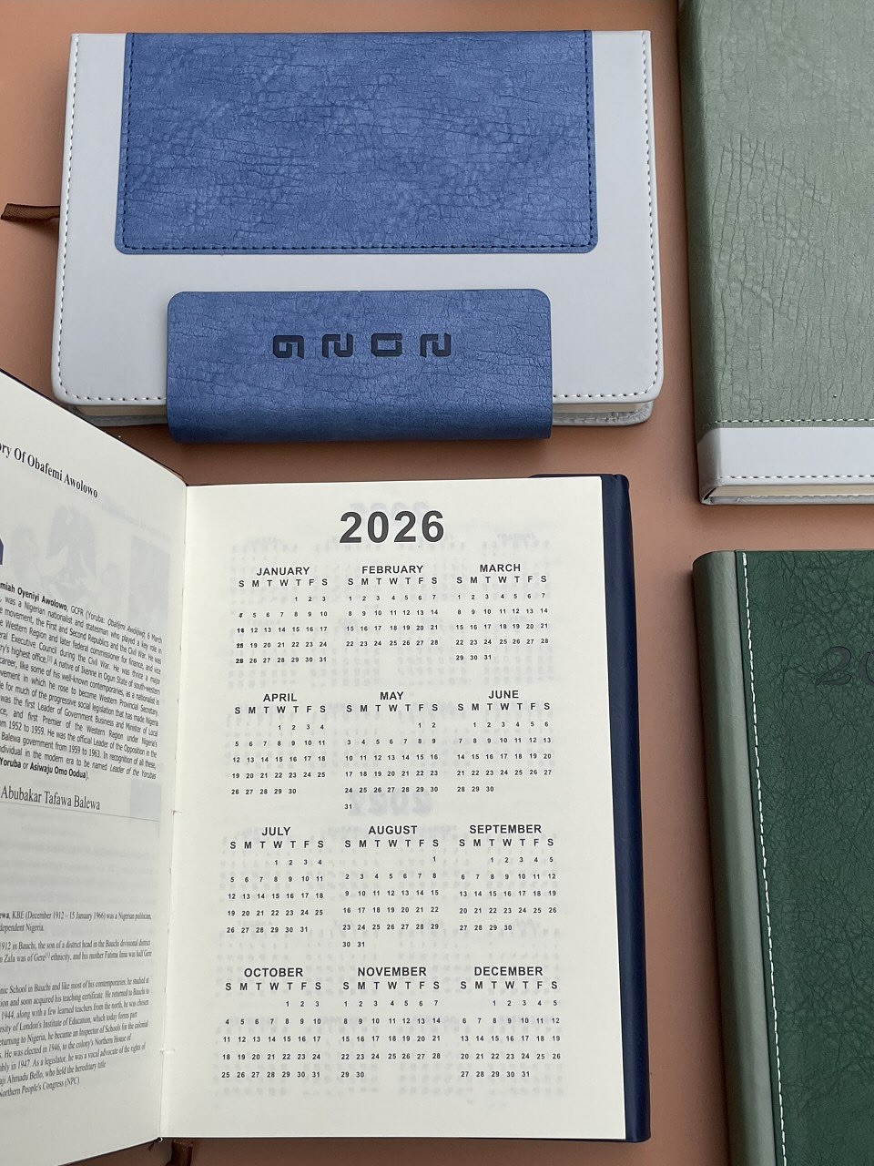 These 2026 diaries are giving everything a new year deserves 🥰🥰They are beautiful, classy, tho (12)